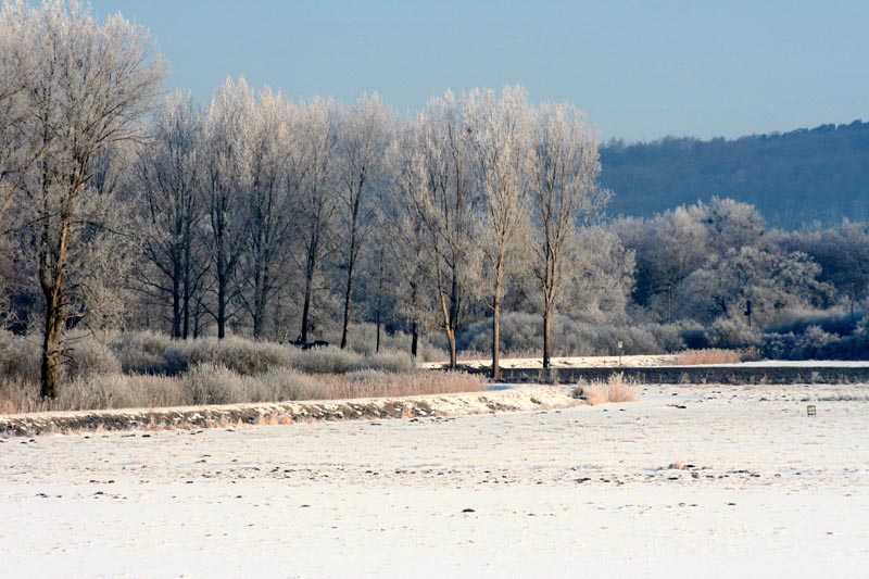 Killikus&reg; Fotographie